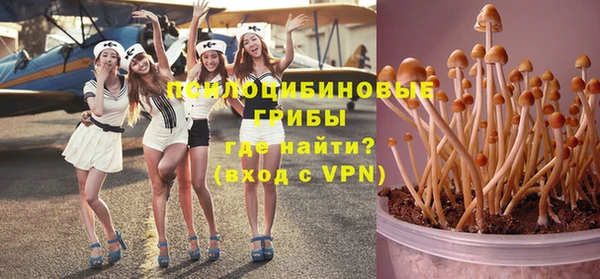 сатива Волосово