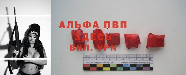 сатива Волосово