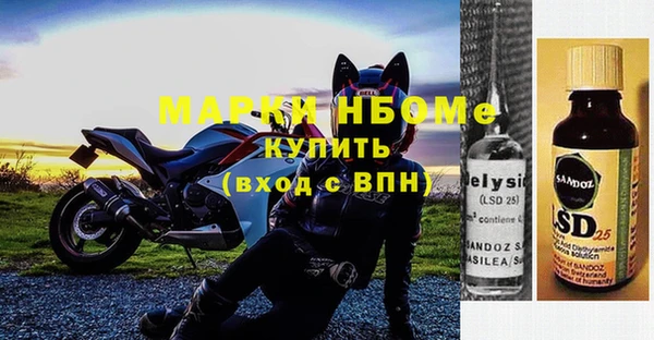 сатива Верея