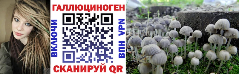 Галлюциногенные грибы MAGIC MUSHROOMS  дарнет шоп  Ялуторовск 